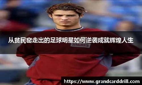 365WM完美体育官网