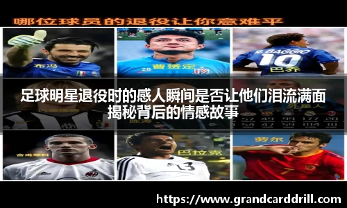 365WM完美体育官方网站