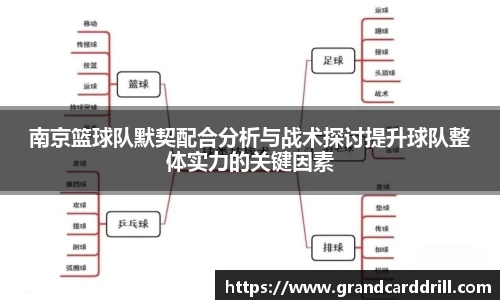 365WM完美体育官方app